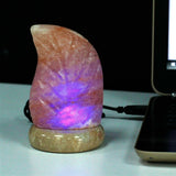 Himalayan Salt Round Leaf Shape USB Light