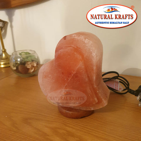 Himalayan Pink Salt Twin Heart Lamp
