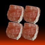 Himalayan Salt Lick 1KG