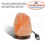 Natural Shape USB Light