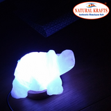 Himalayan Salt Lamp Tortoise Shape USB Light