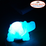 Himalayan Salt Lamp Tortoise Shape USB Light