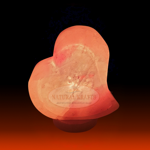 Himalayan Pink Salt Twin Heart Lamp