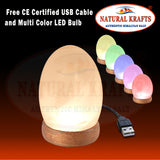 Egg Shape USB Light