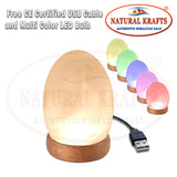 Egg Shape USB Light