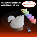 Swan Shape USB Light