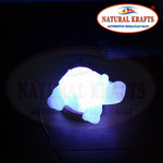 Himalayan Salt Lamp Tortoise Shape USB Light